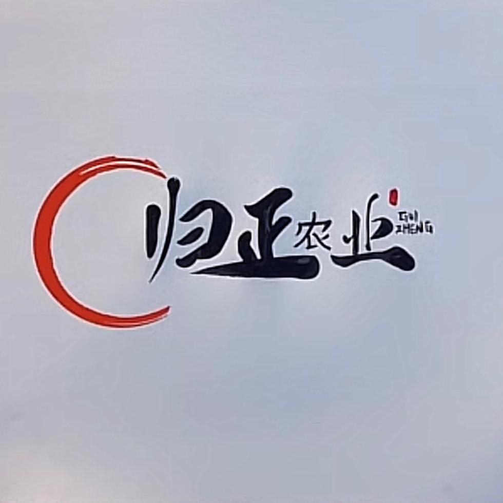 归正农业企业店