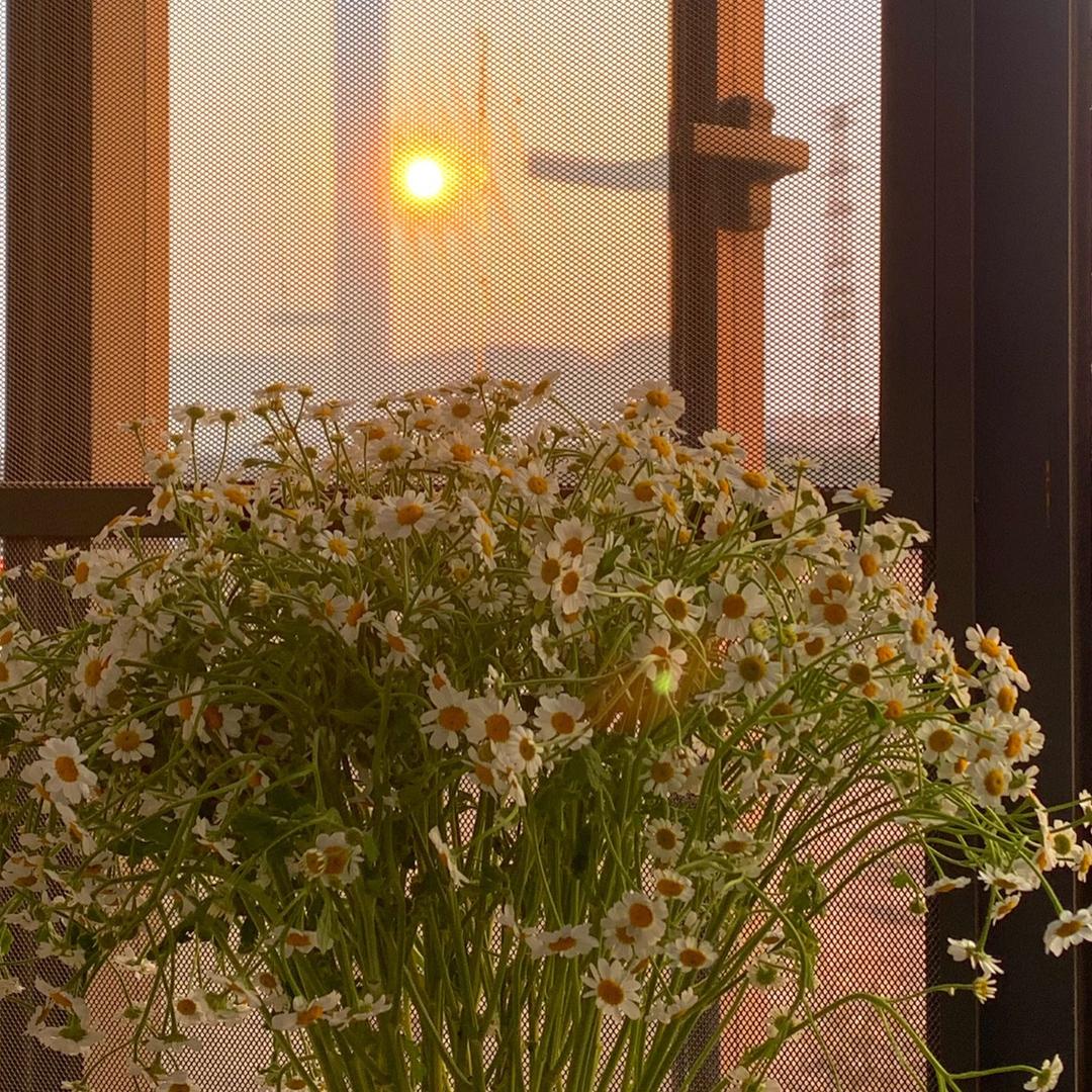 亚娅洛健康服务