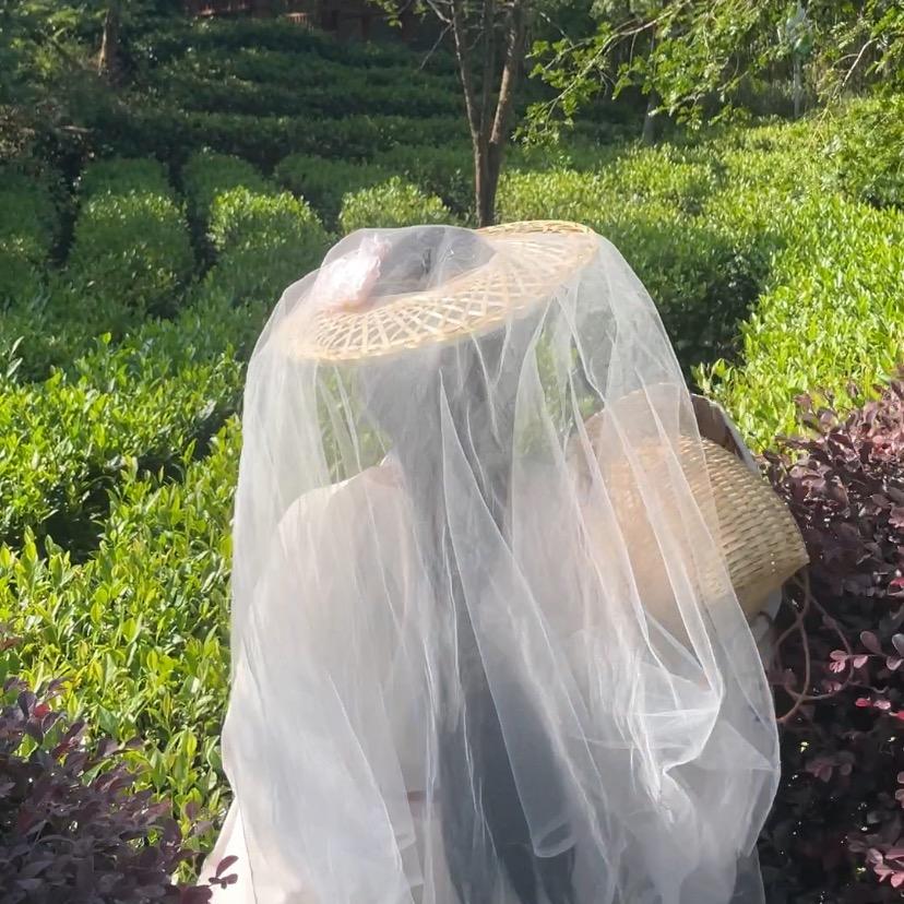 梦熙政