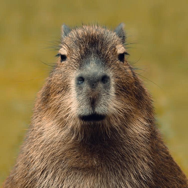 郭大路¹⁹⁸⁸🎤