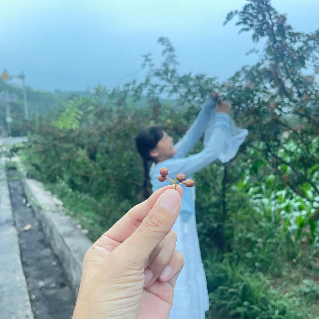 小鲸喜