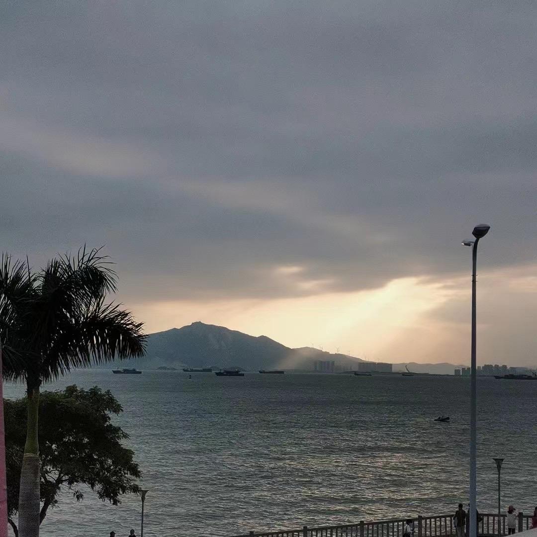已重置