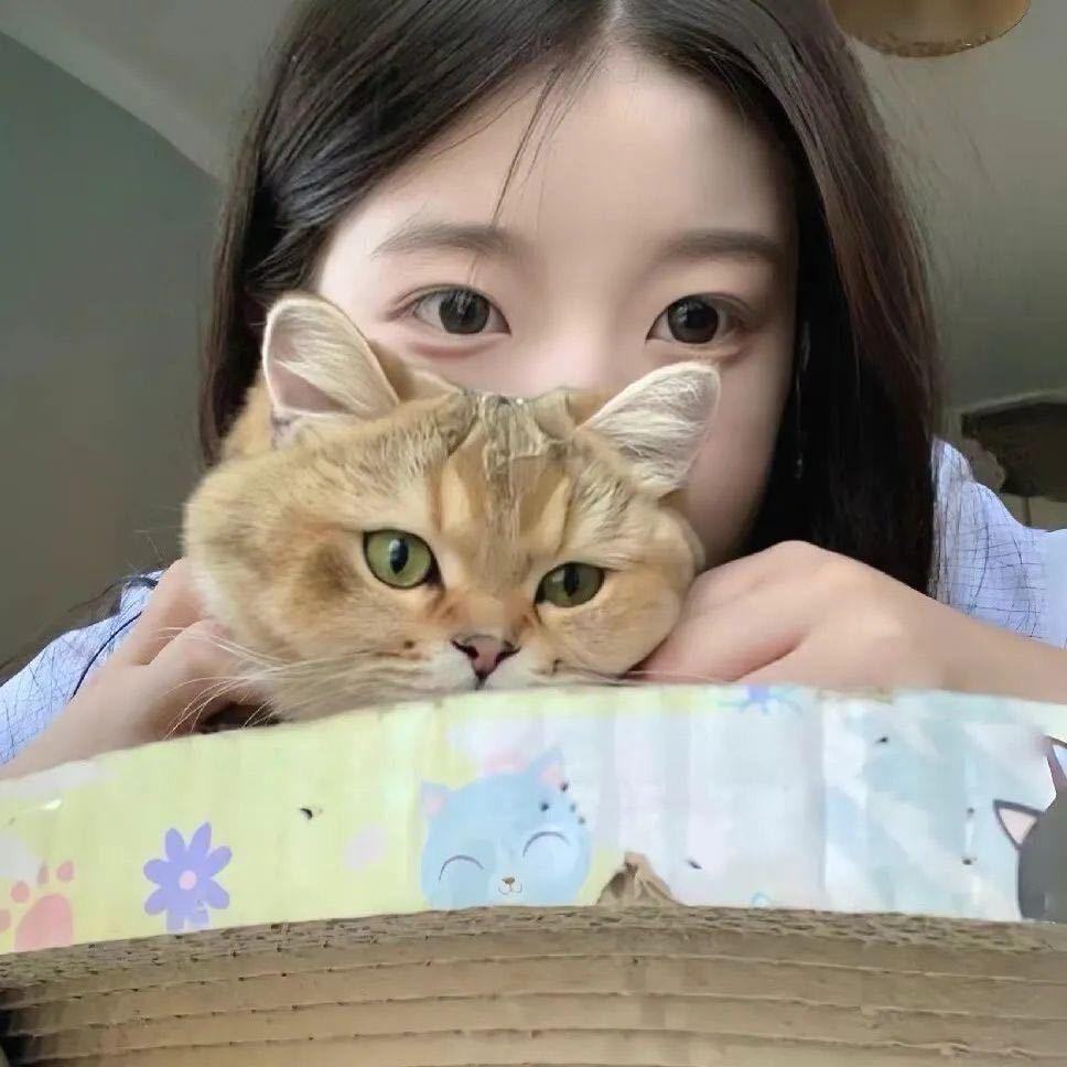 小🍊