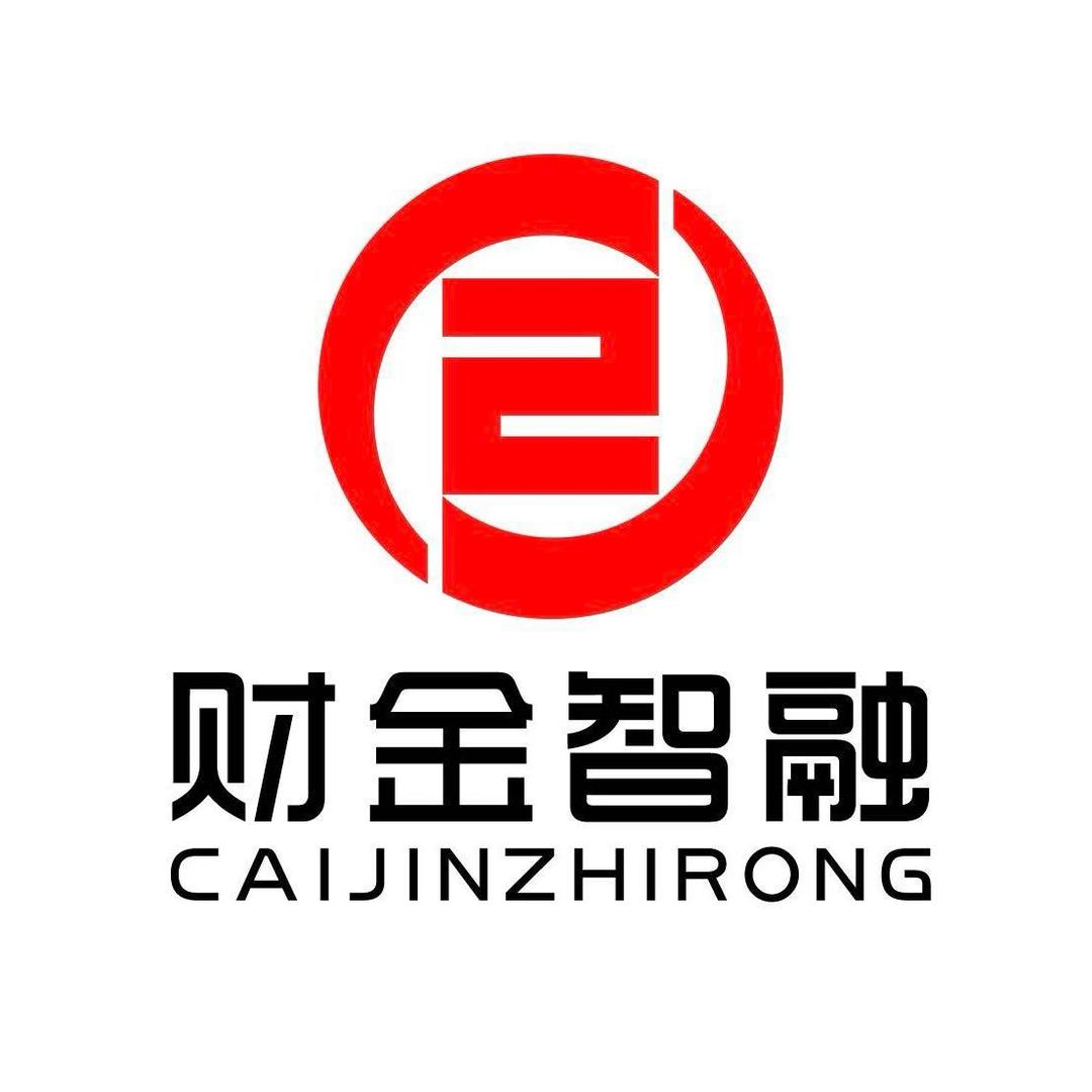 财金智融（山东）数据服务有限责任公司