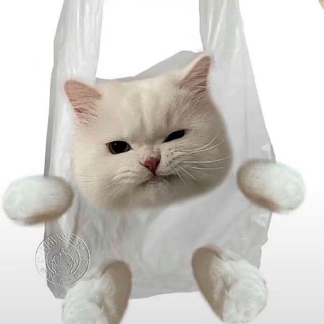 yyy