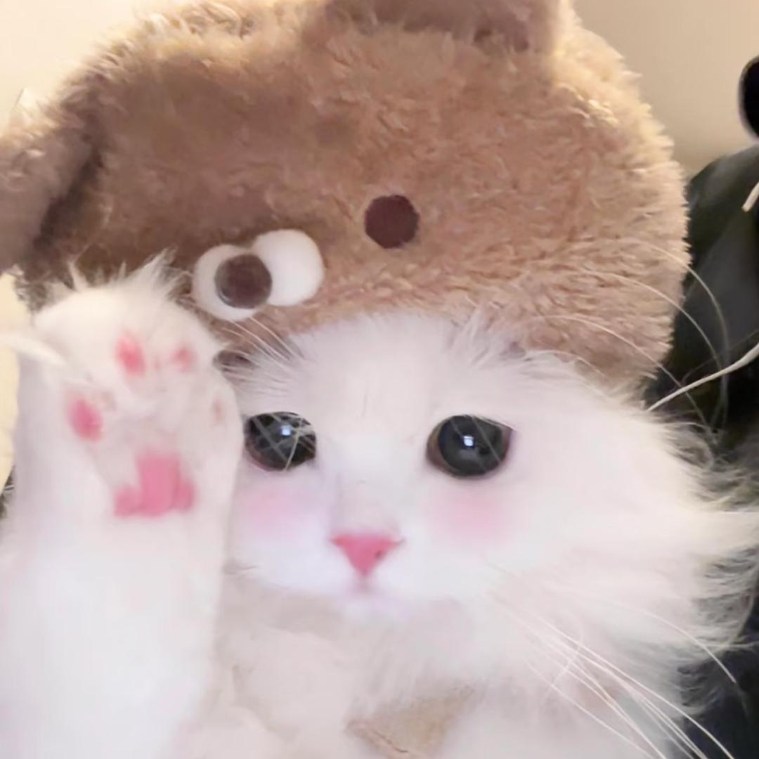 灼灼🌟