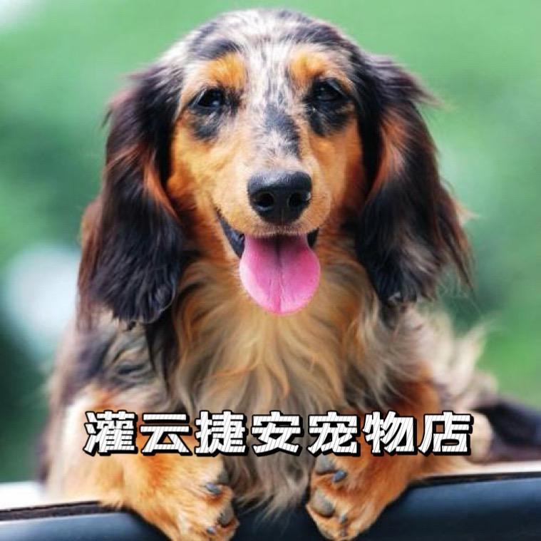 灌云捷安宠物用品店  钢筋笼具