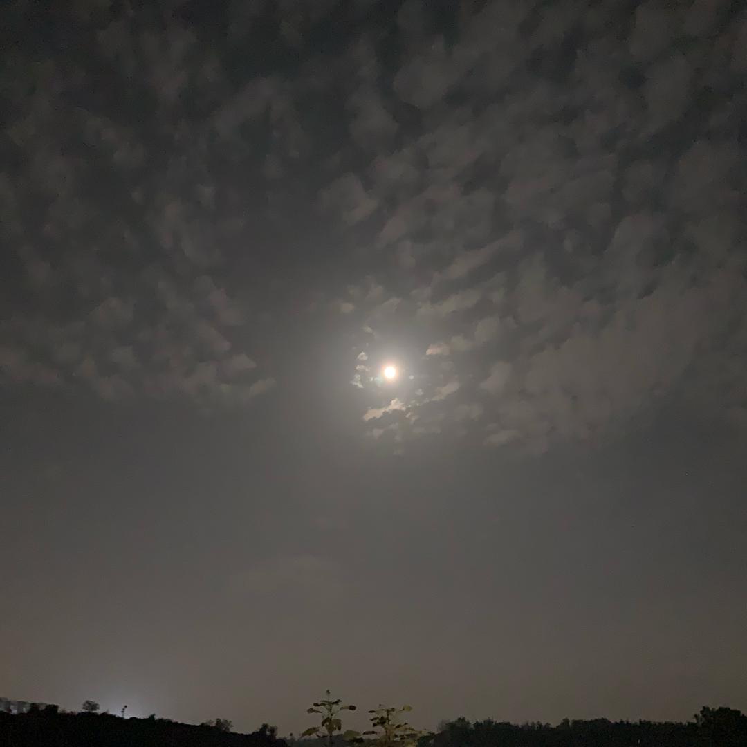 免费升级修炼
