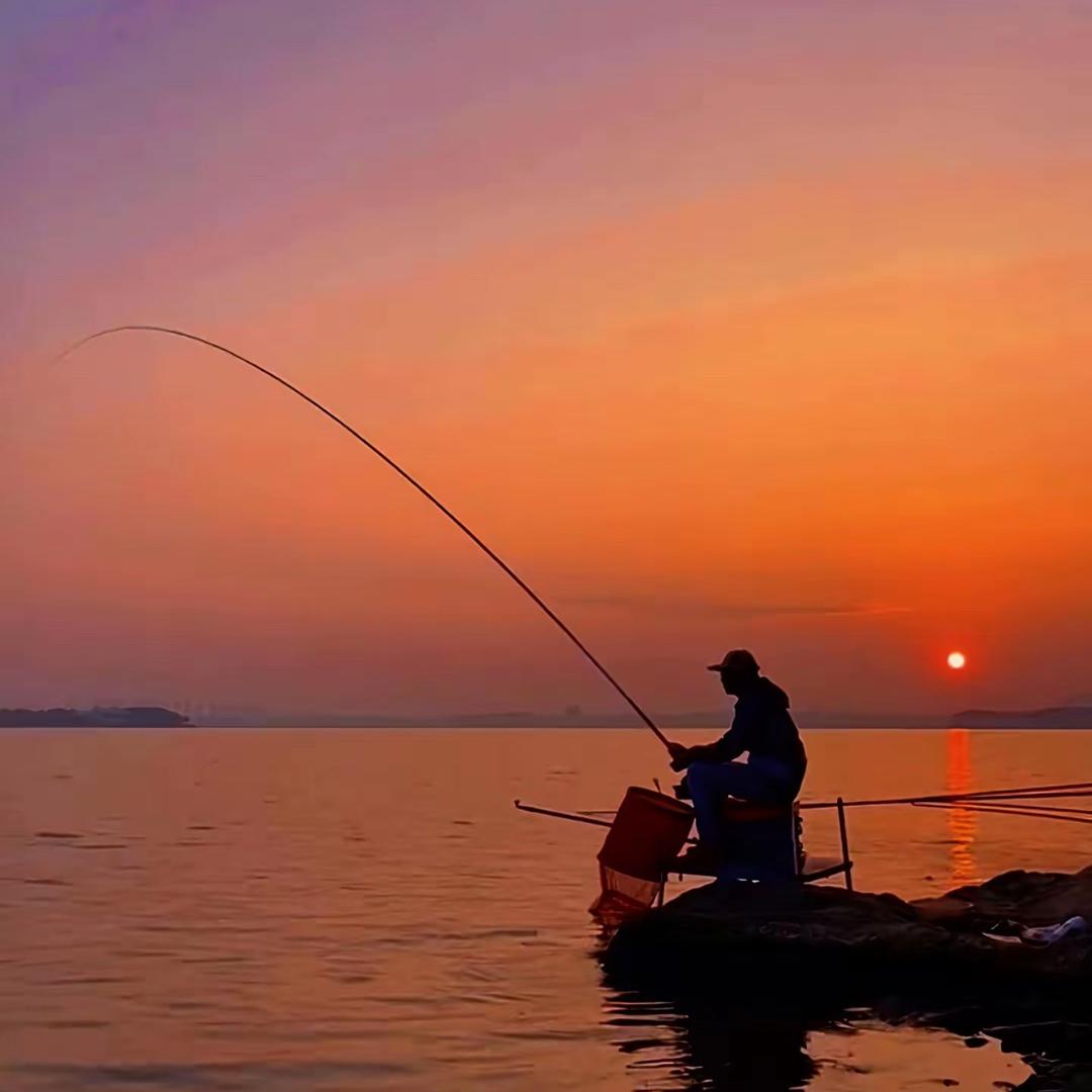 胡子爱🎣