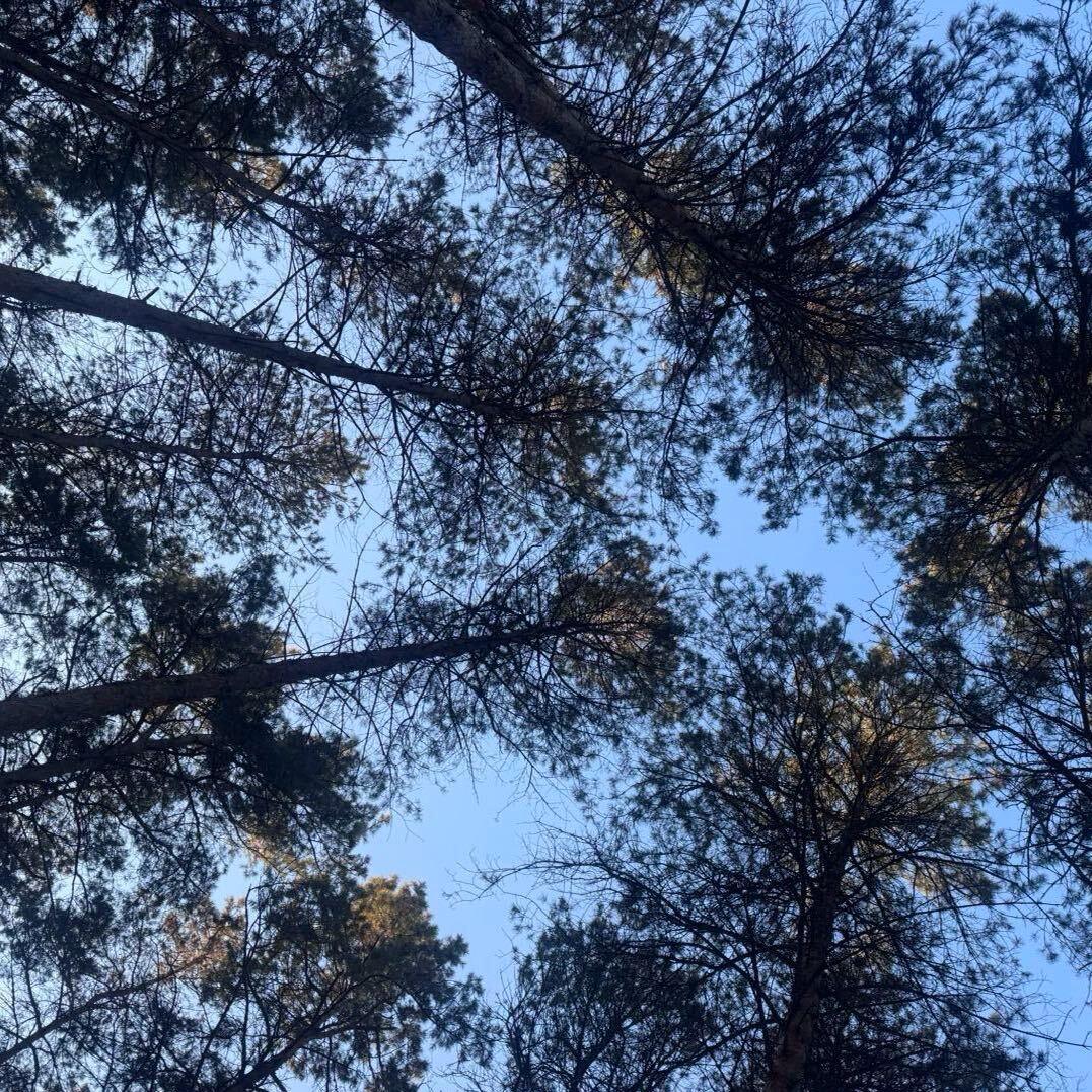 亚太地区最值得交往的华人ts