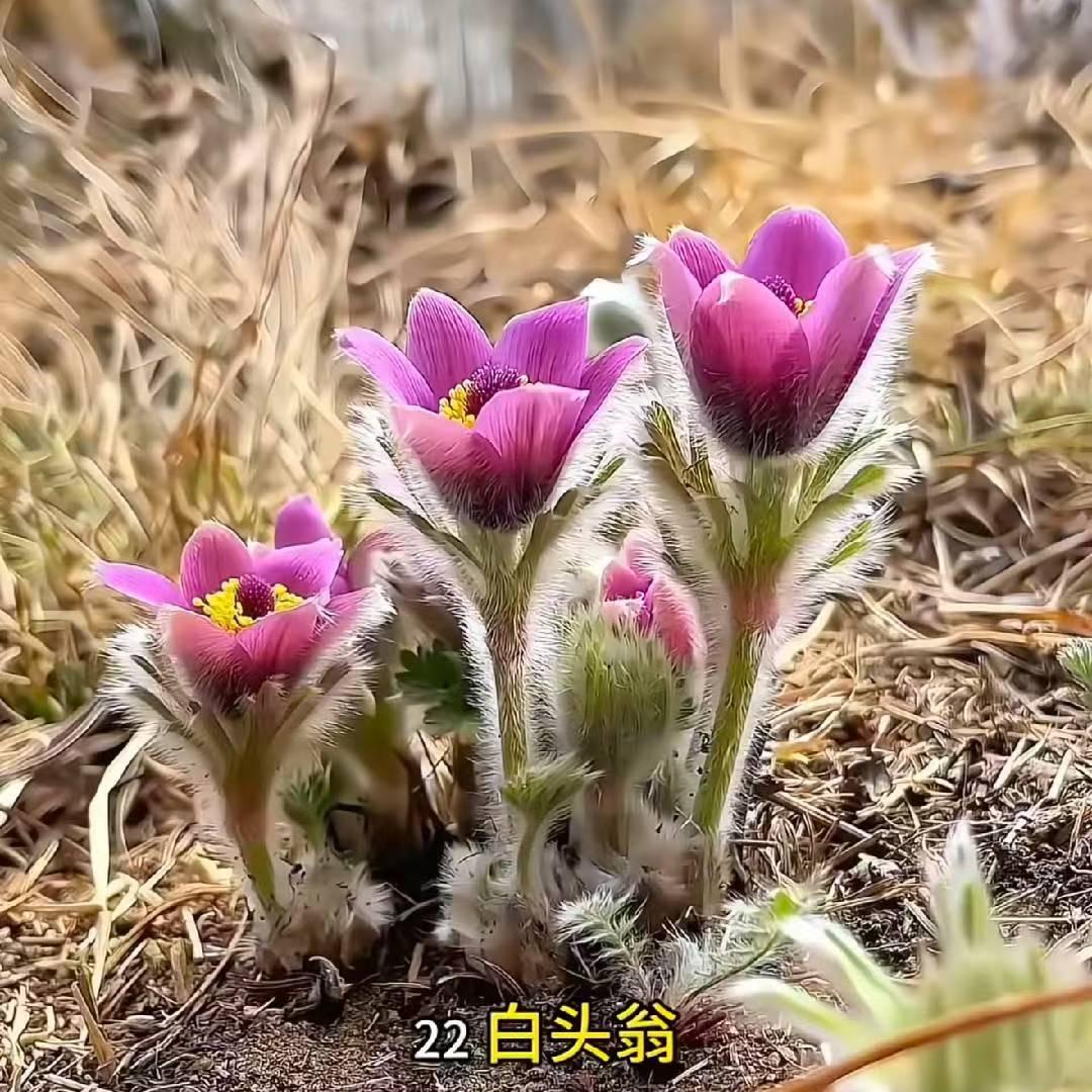 竹山县德瑞芸百货店