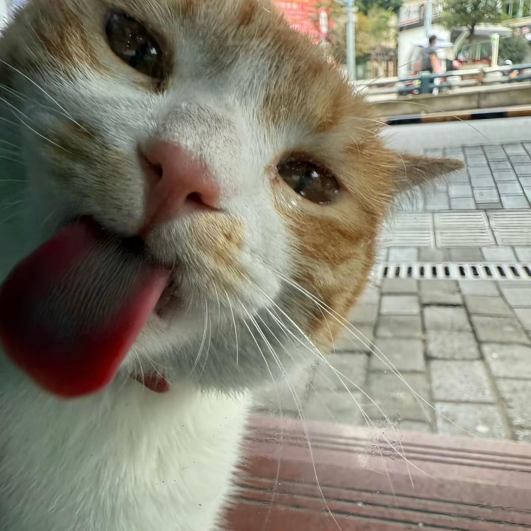 3洋