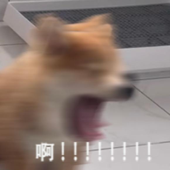 惡女是谁