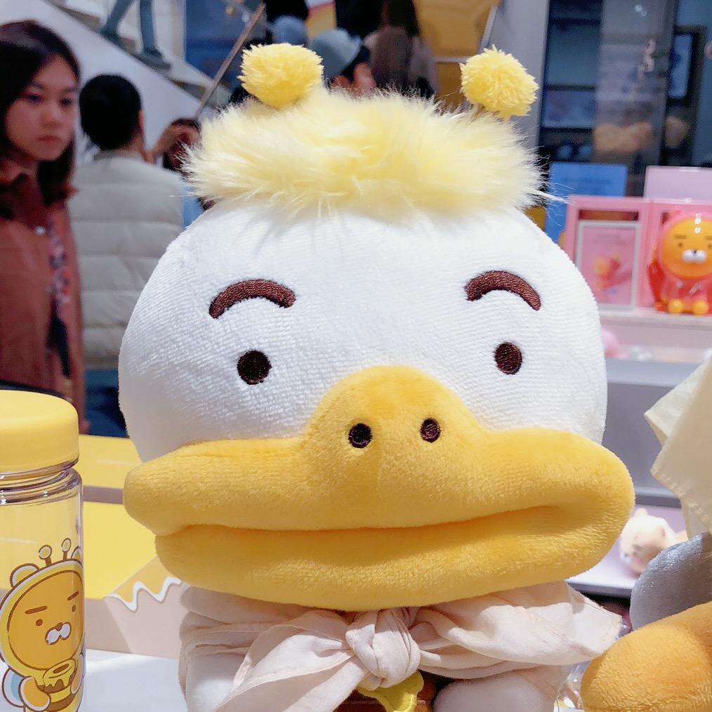 楠大王