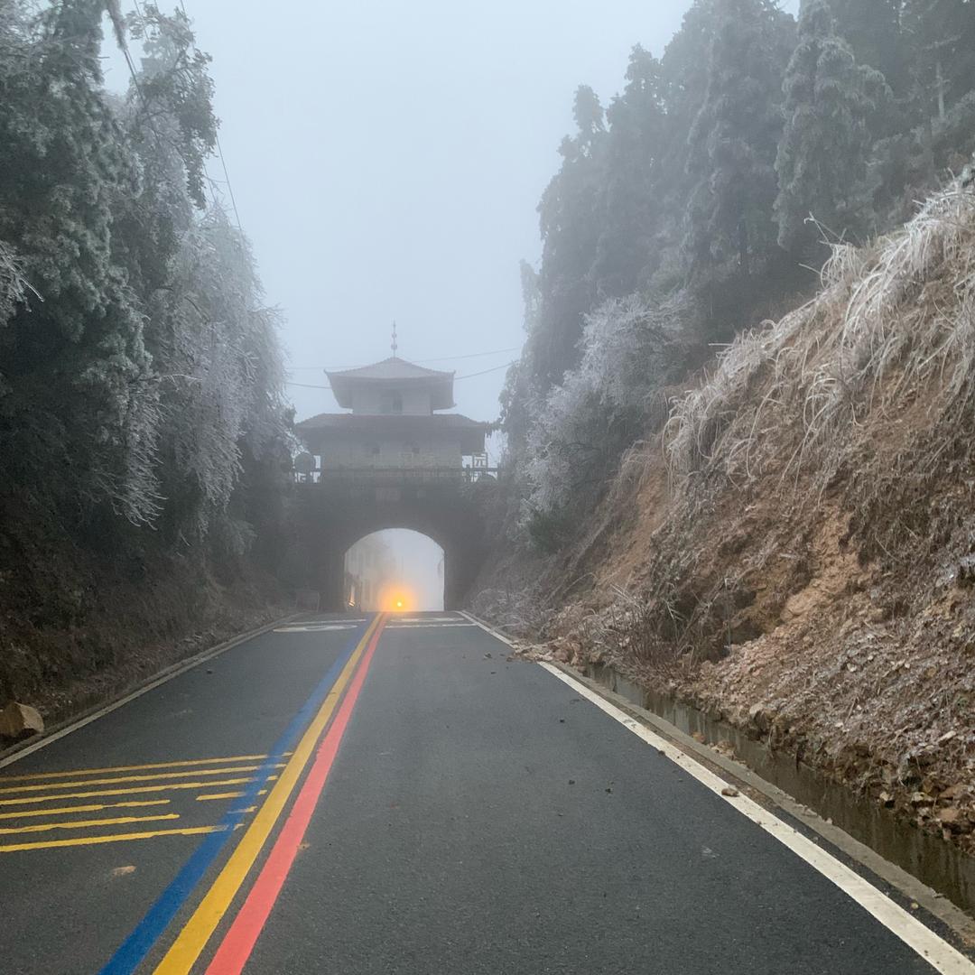 观山茶业