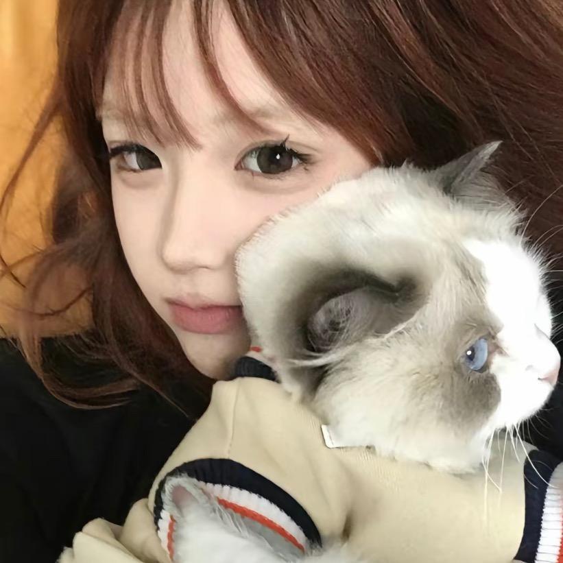 ：小燕子⁰¹