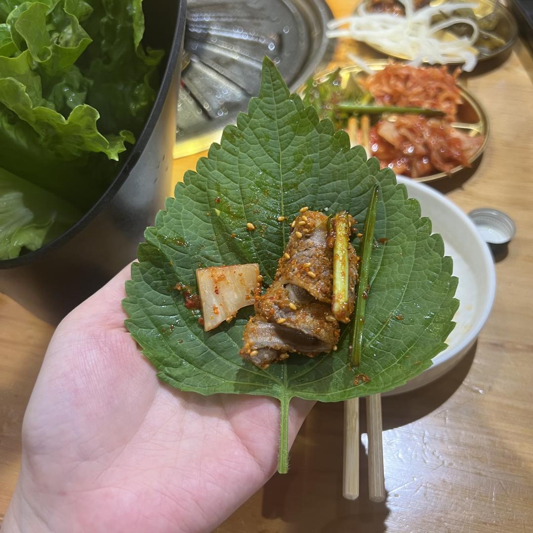 糕糕崽