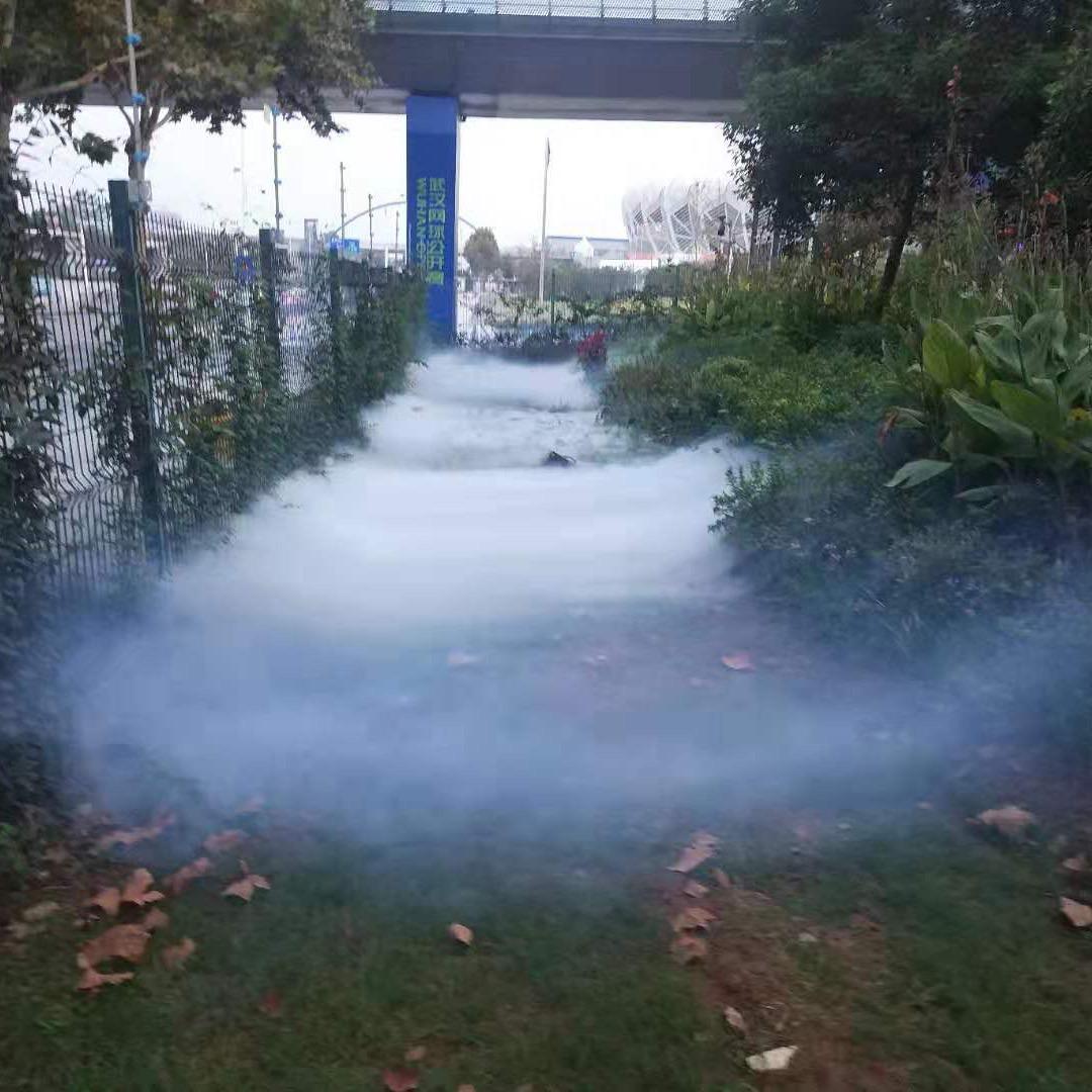 杀手🥷（张家亨）