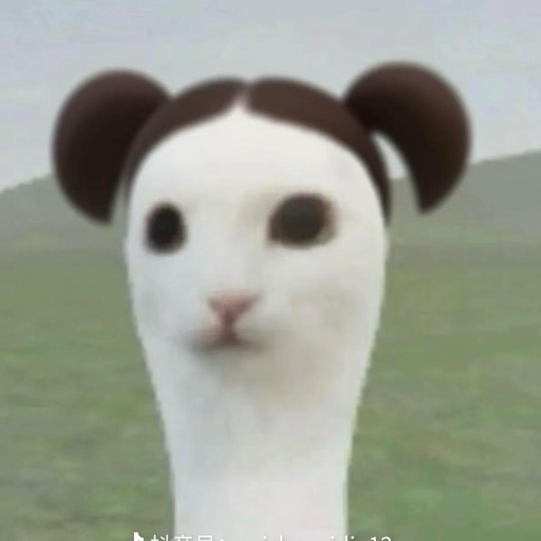 狗狗教老大