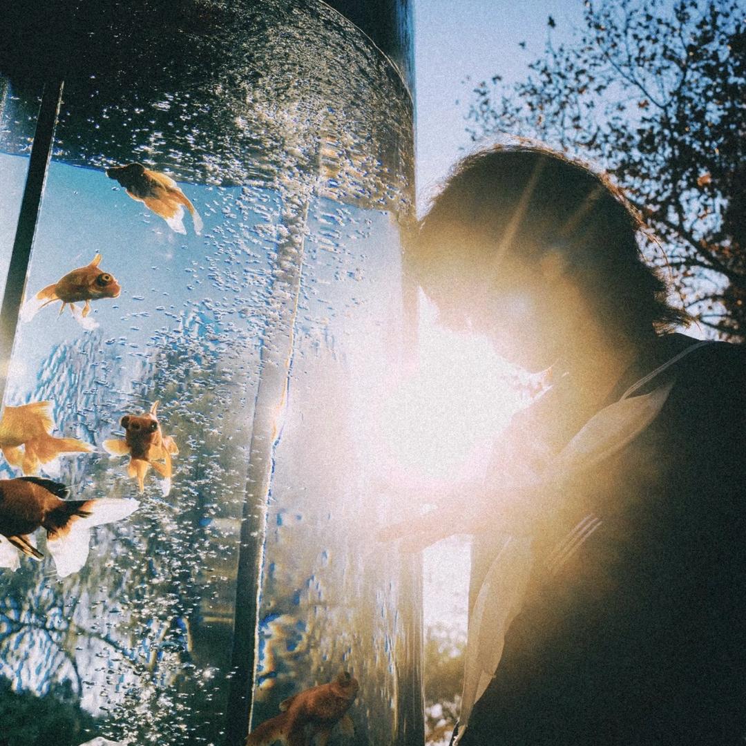 满地开花开了21