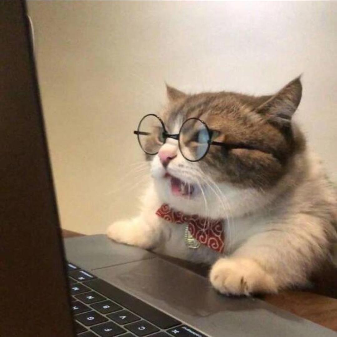 🐈🐟