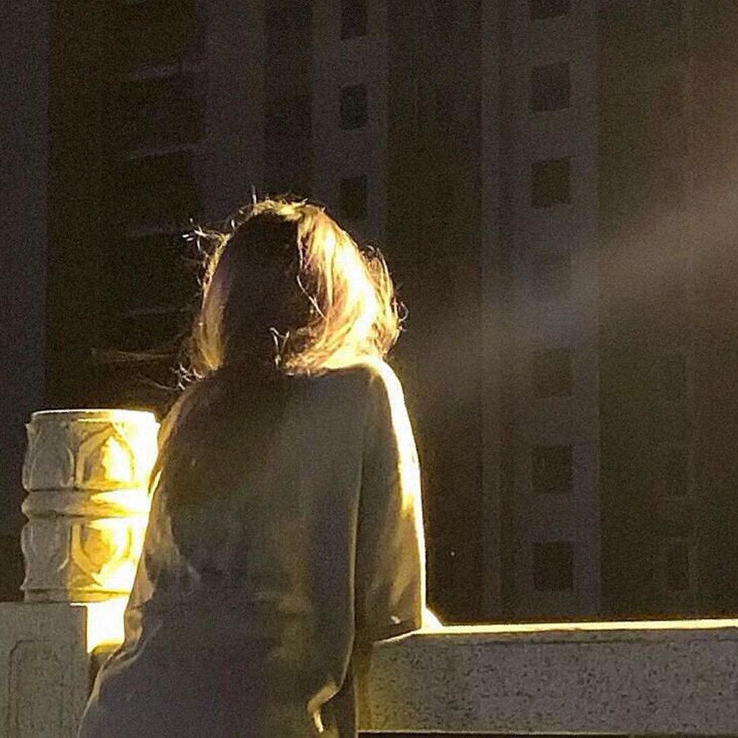 禅茶甄选