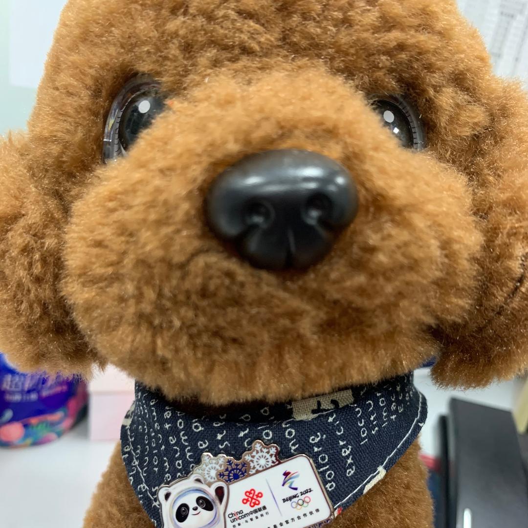 じòぴseven࿐ʚ梓汝ɞ♚