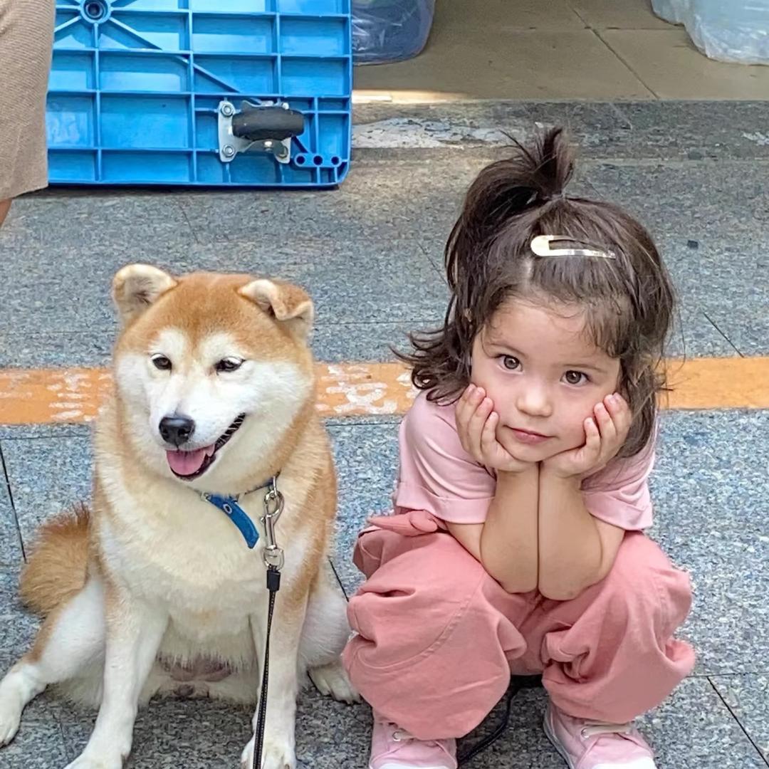 大乔小乔不大不小