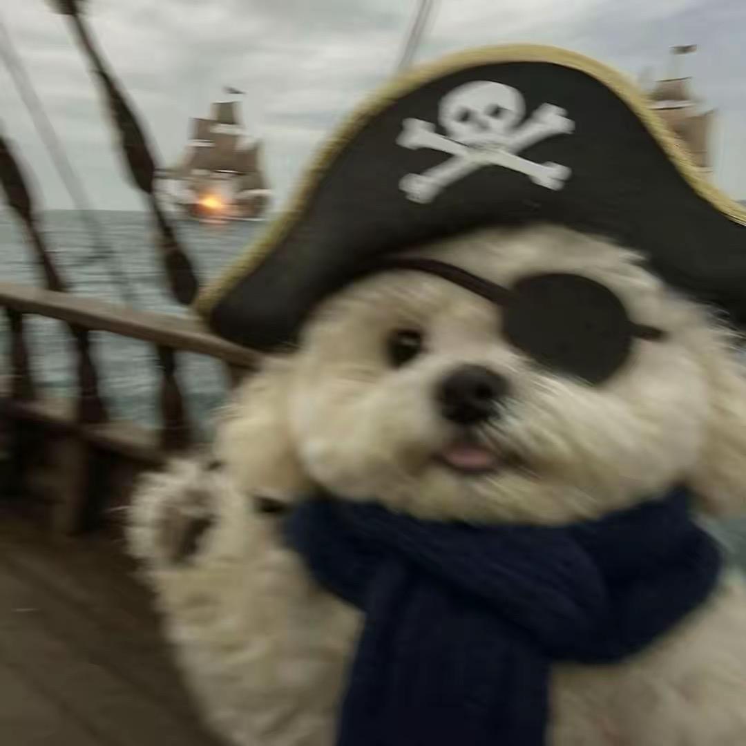 小陳同学🧑‍🎓