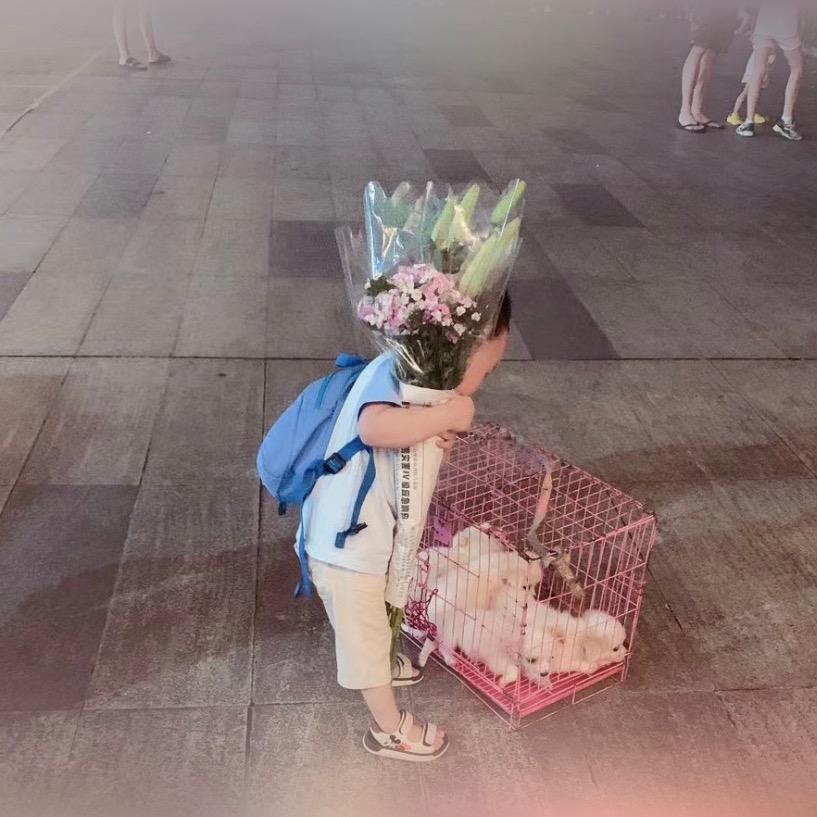 小鱼儿