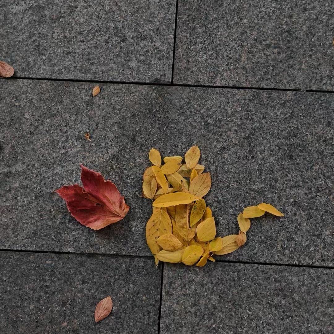 不吃榴莲🥐