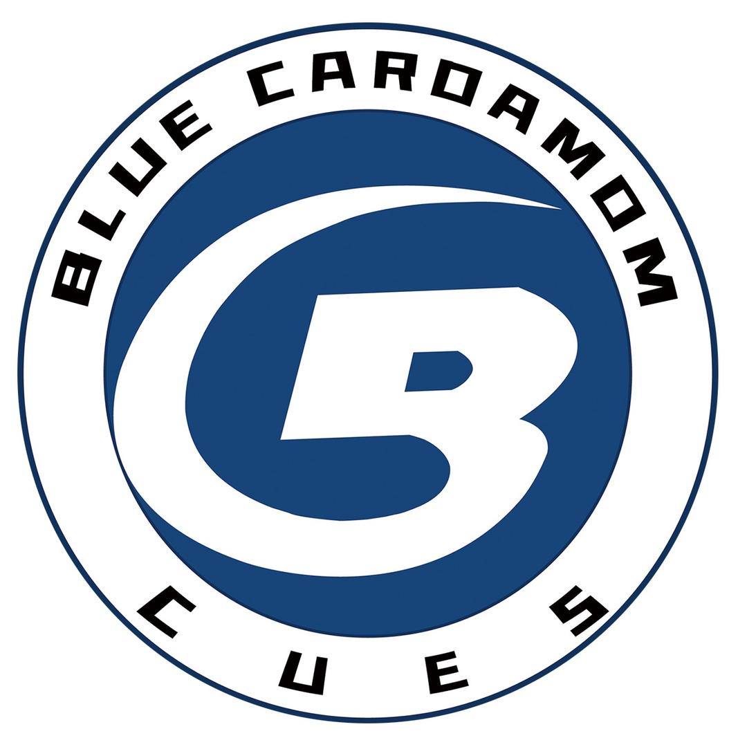 蓝蔻台球杆体验店