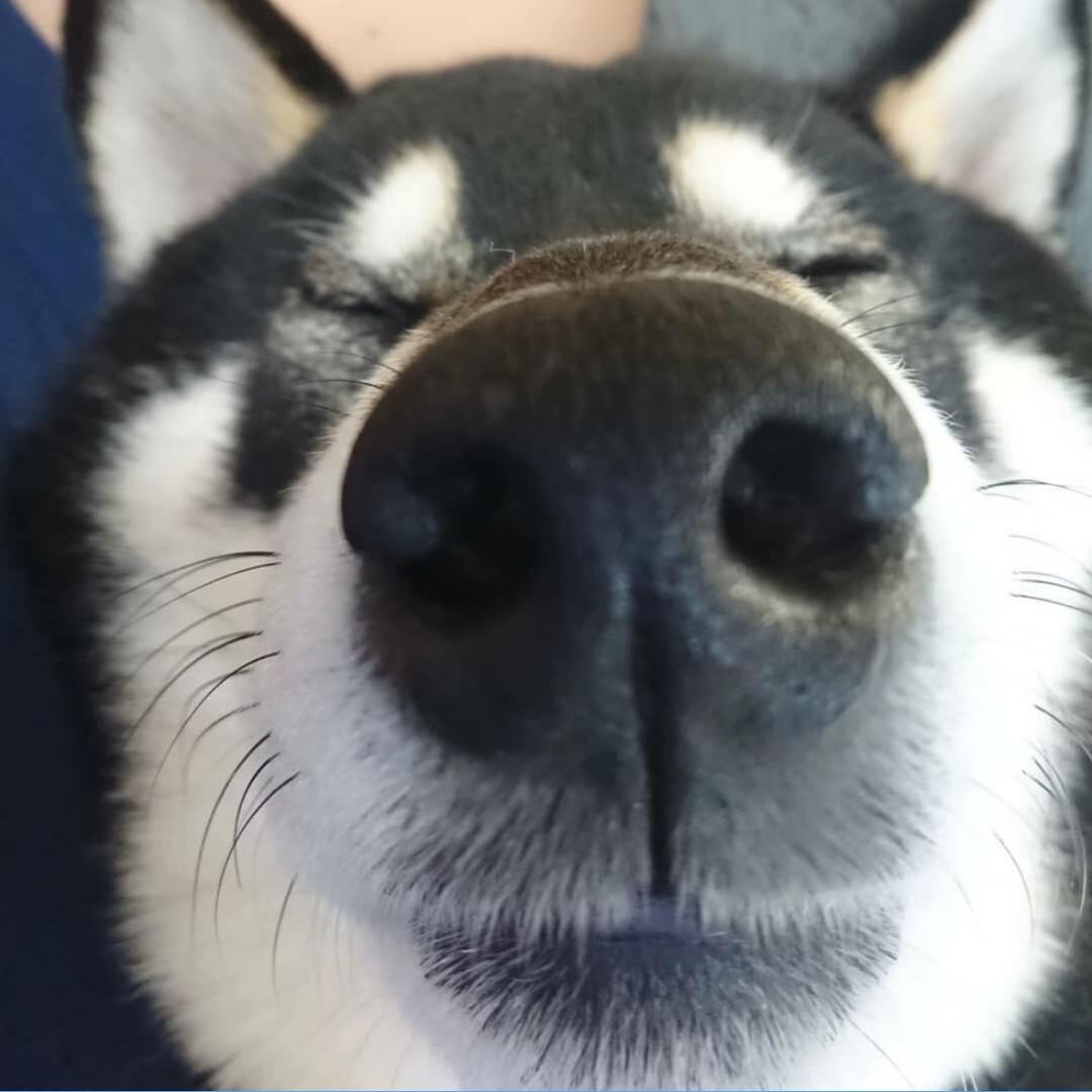 邓森林创意小铺