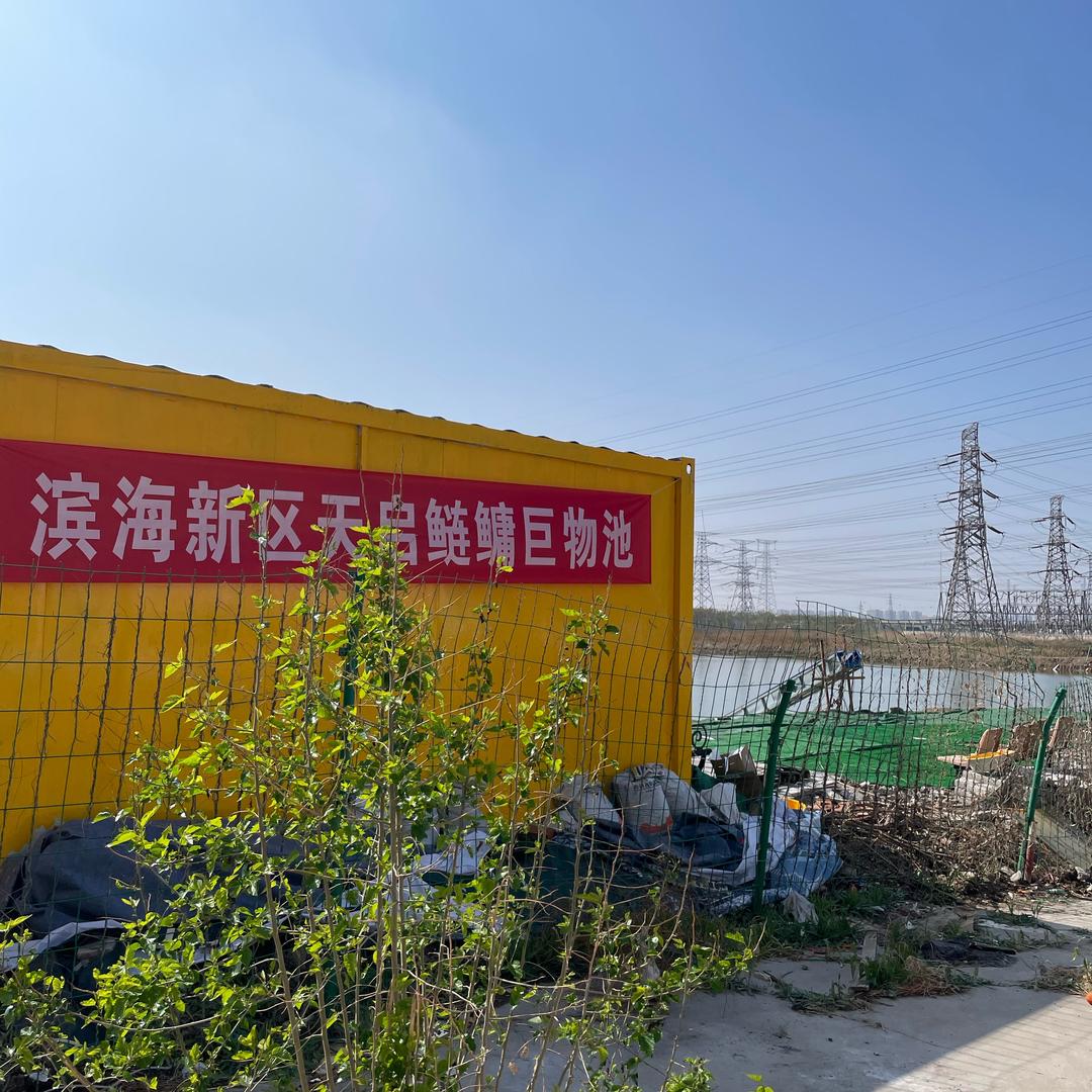 塘沽天启鲢鳙（巨物鲢鳙钓场）