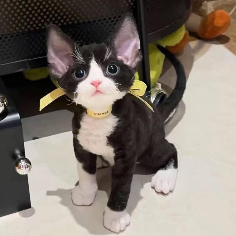 冰糖葫芦娃一个