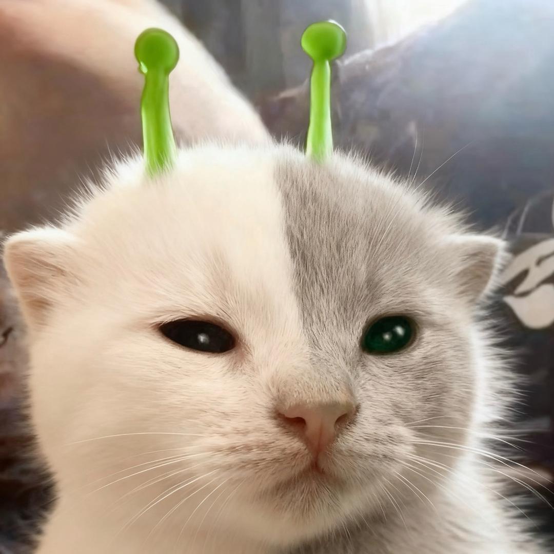 比较大的大提琴