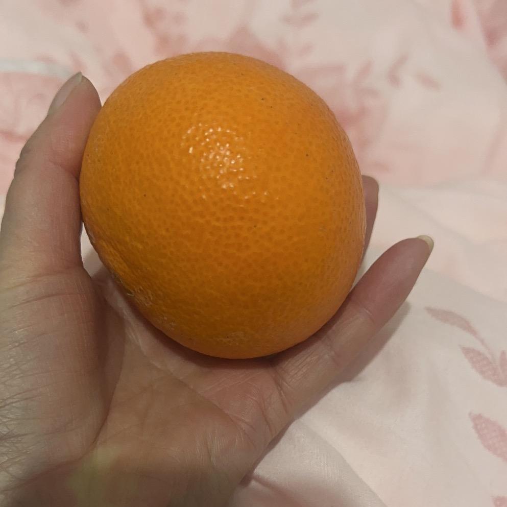 紫玉