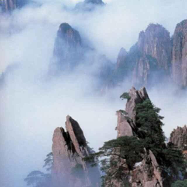 山