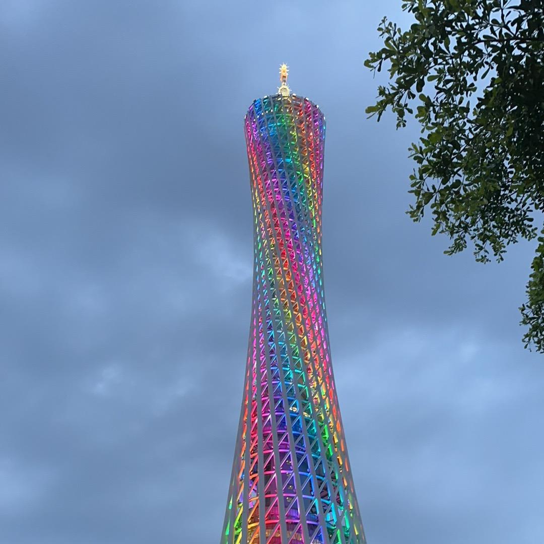毛毛虫🍃