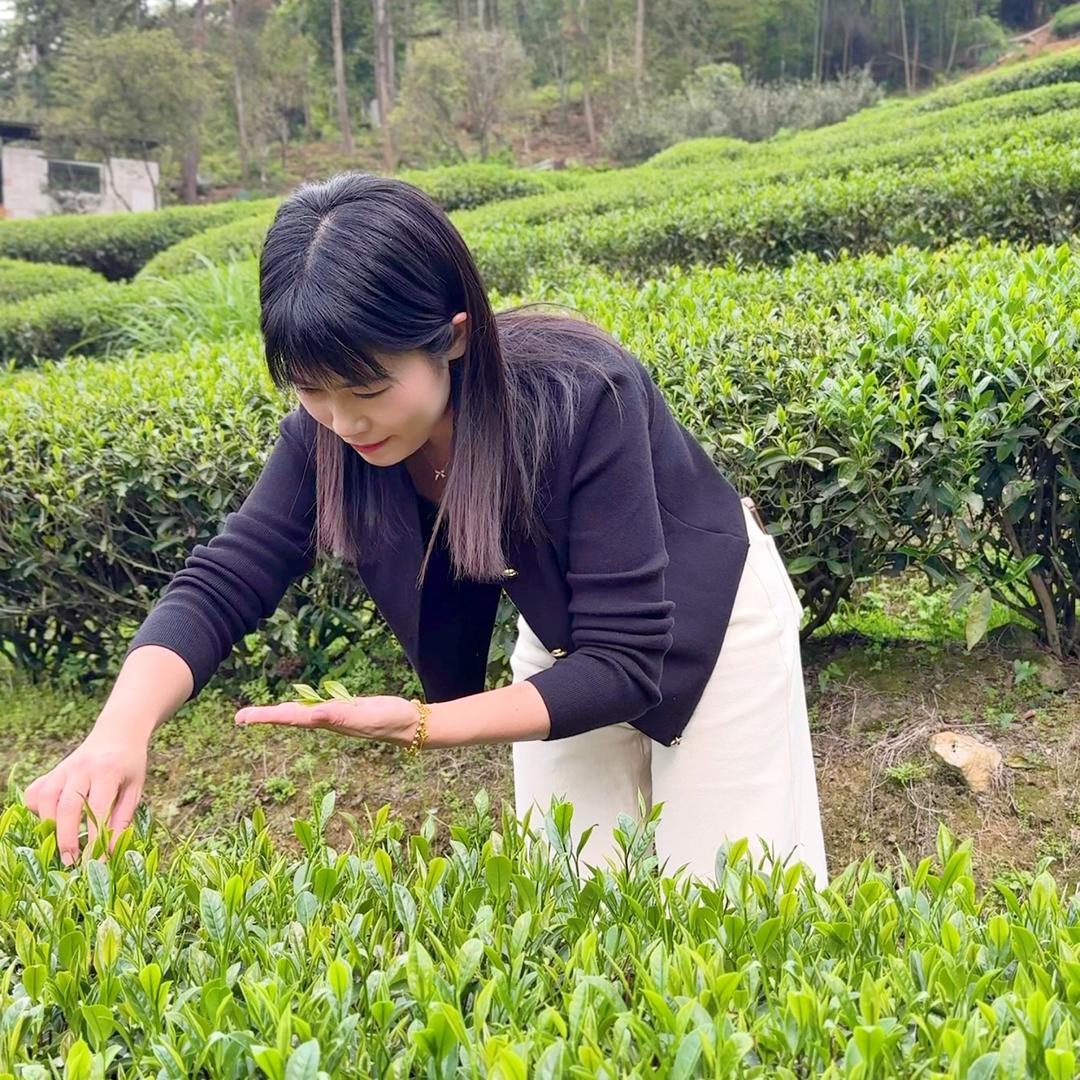 润品茶业｜燕窝滋补品 支持定制