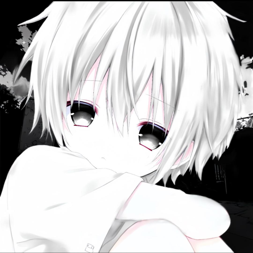 狗蛋n