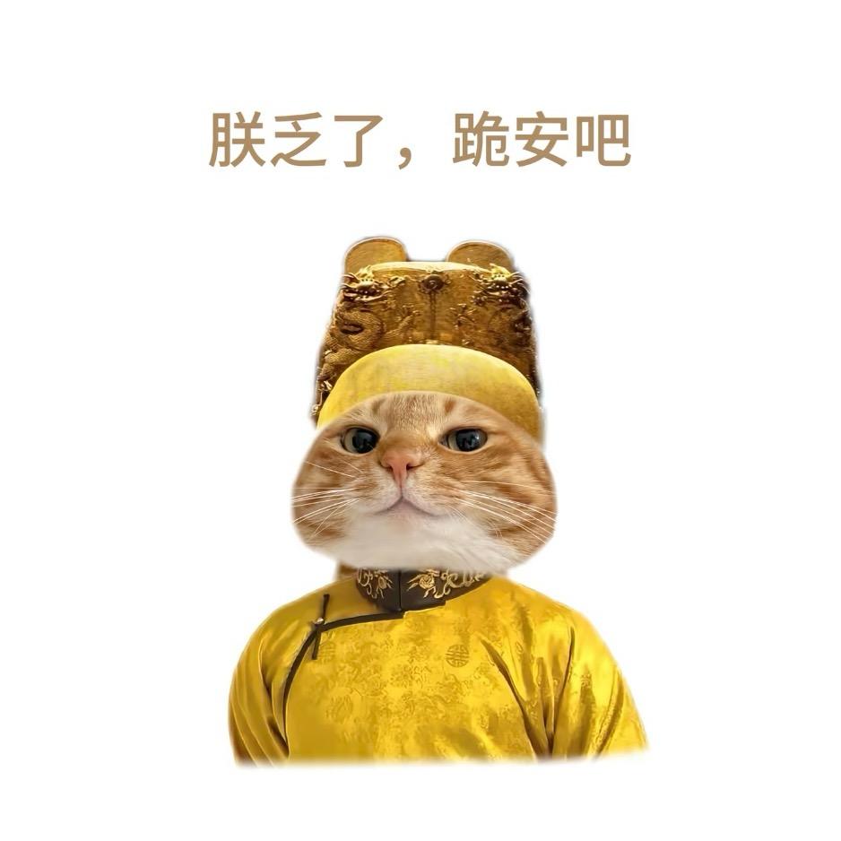 🫧
