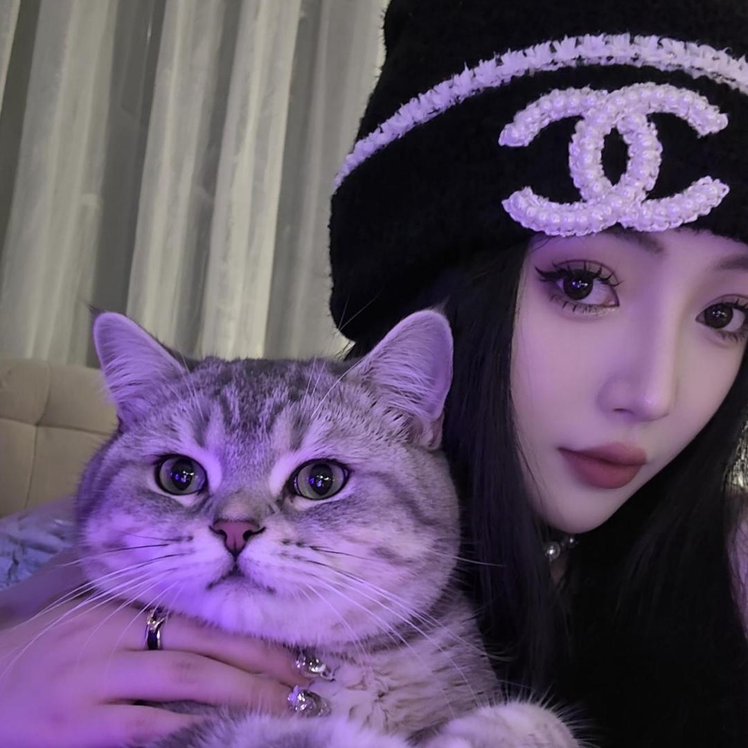 命中不缺狗