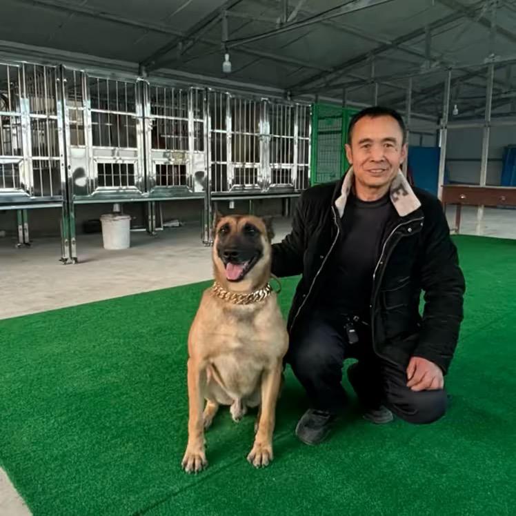 西岩山繁训犬舍