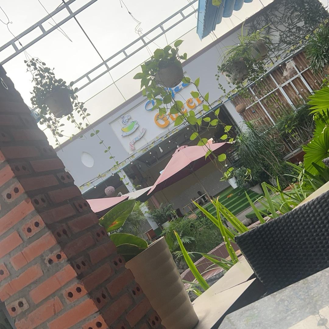 国际情缘，情感顧問解答和脱单規劃