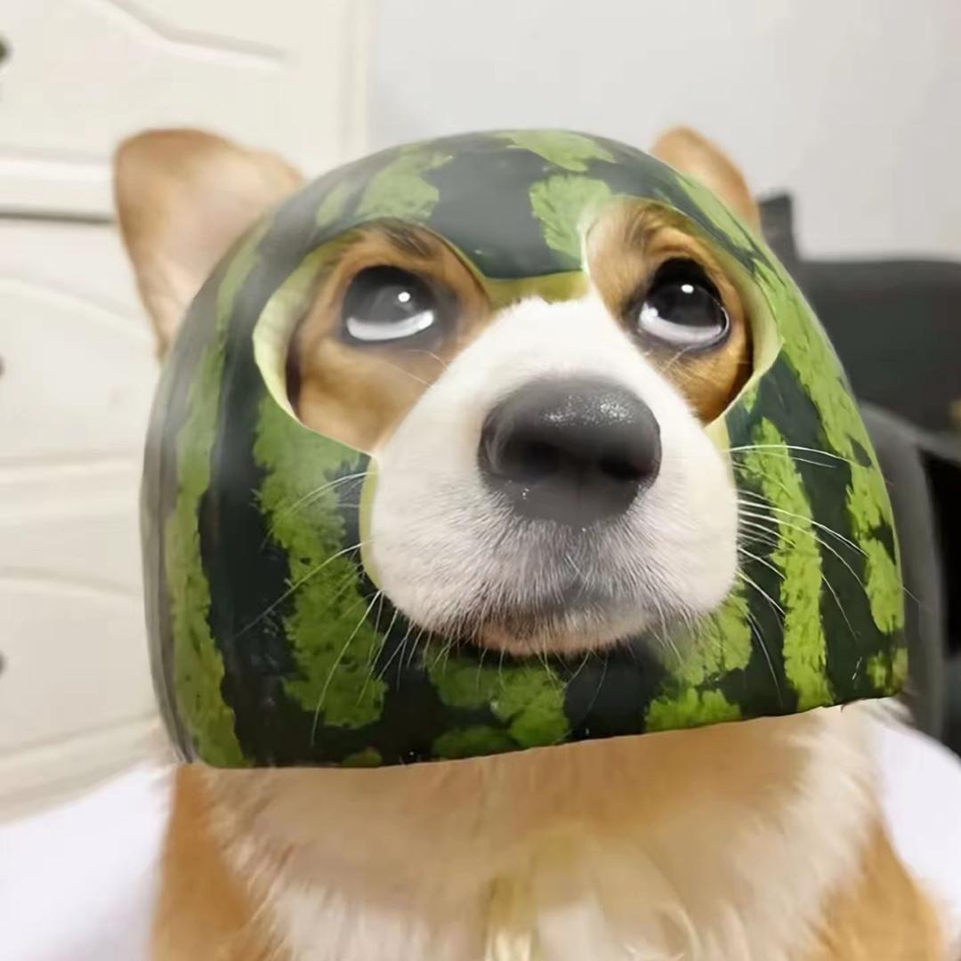 天津要饭的