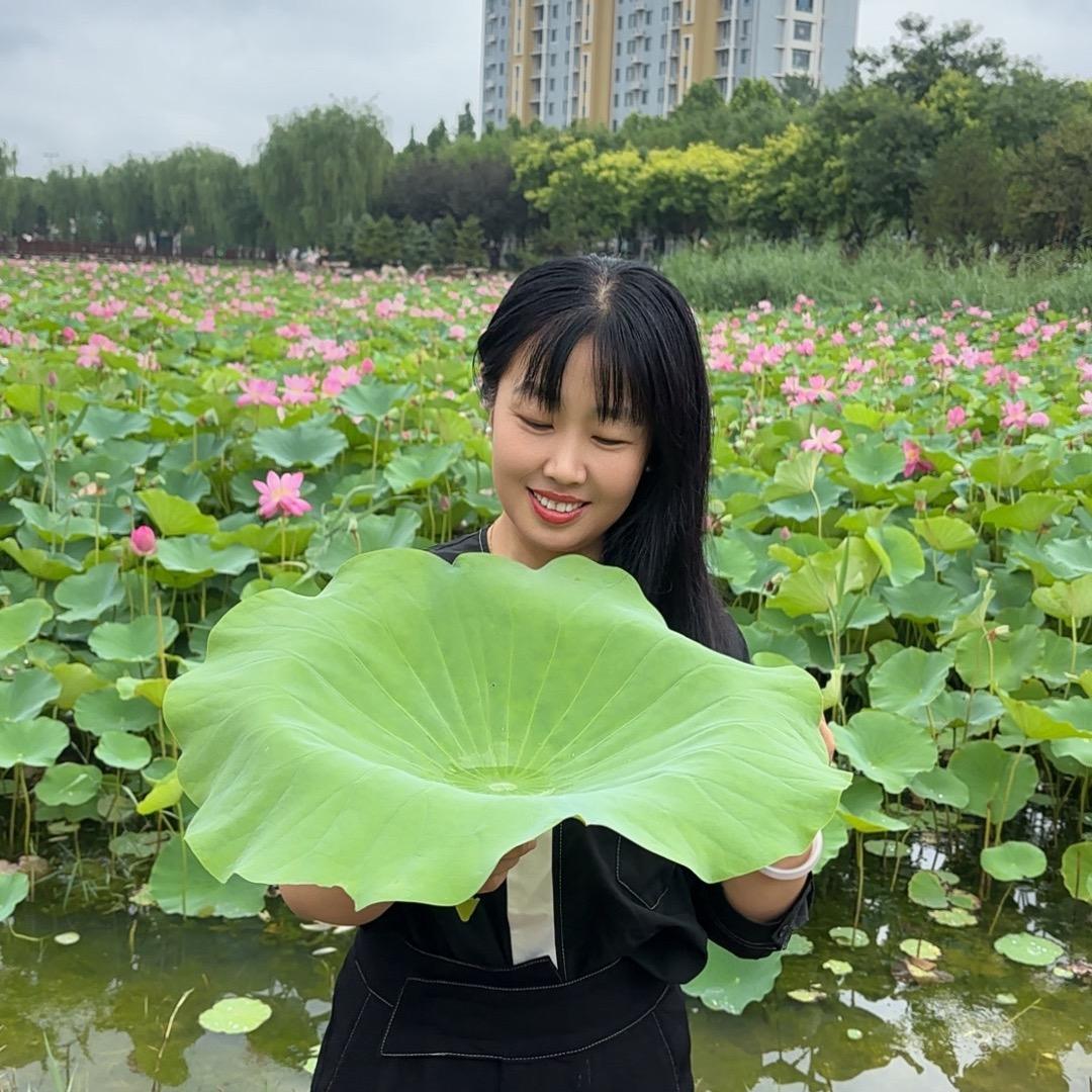 暖暖逛牛城