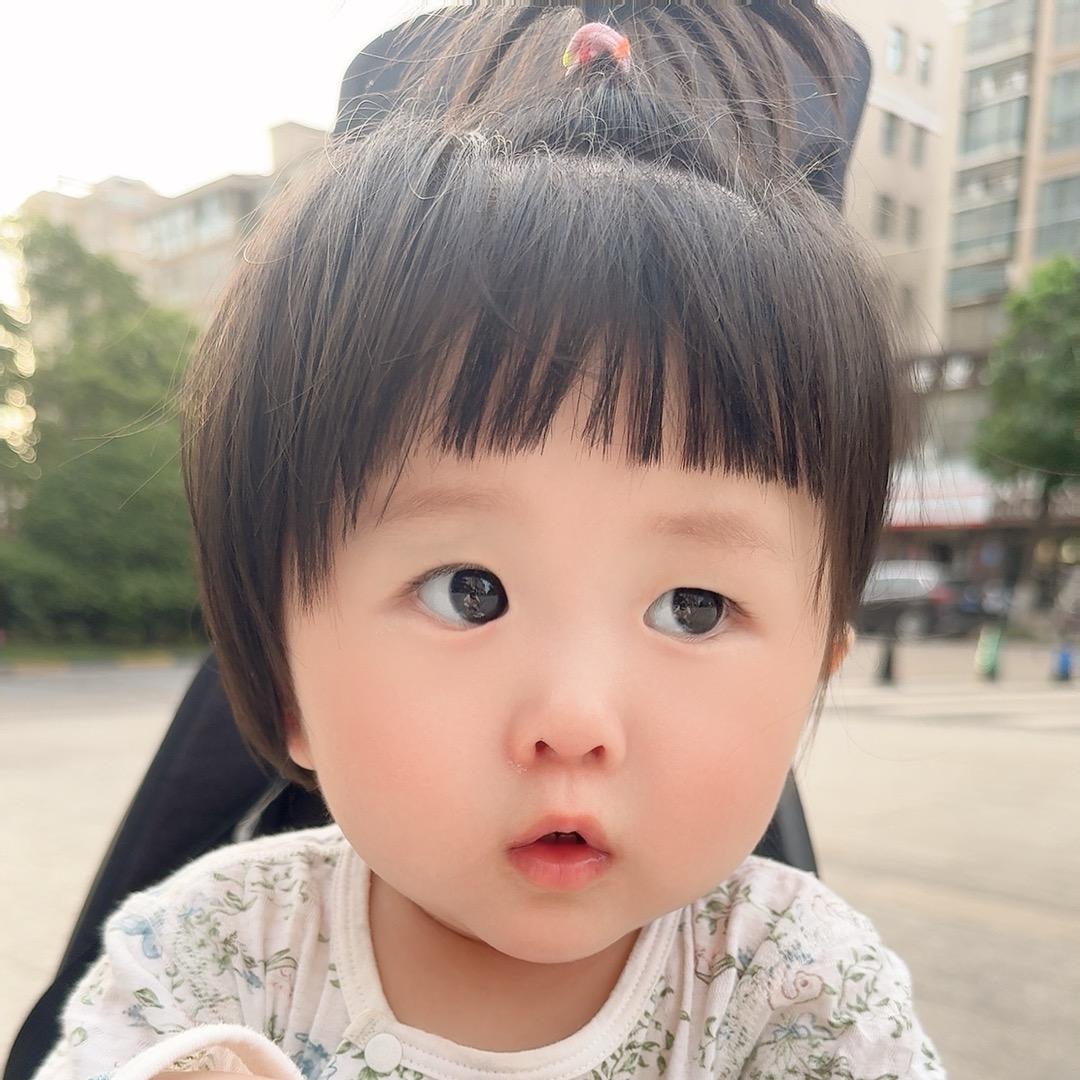 橘子圆滚滚