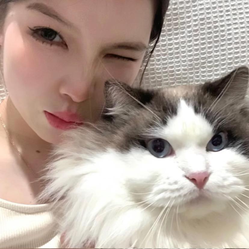 摩羯女oyse.