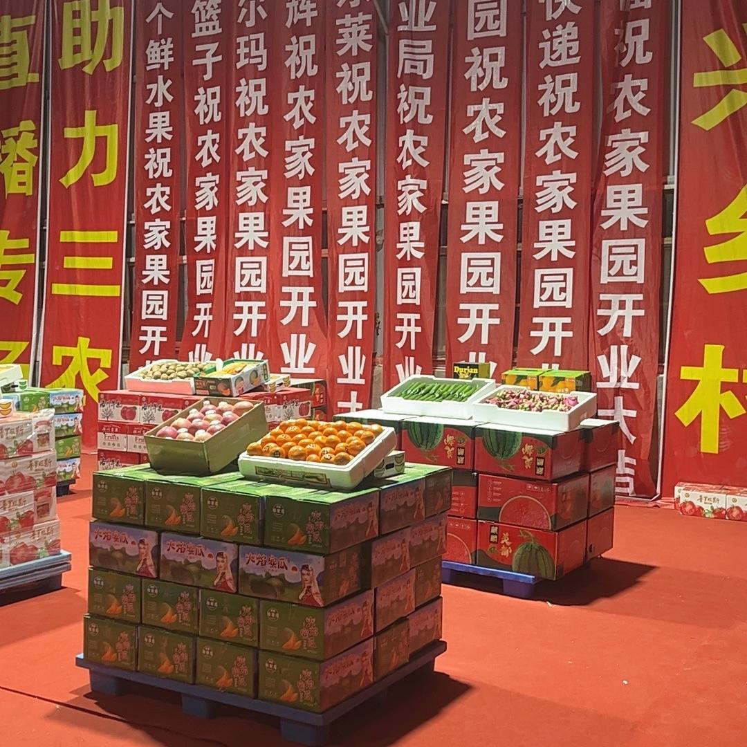 临潼区善亿电子